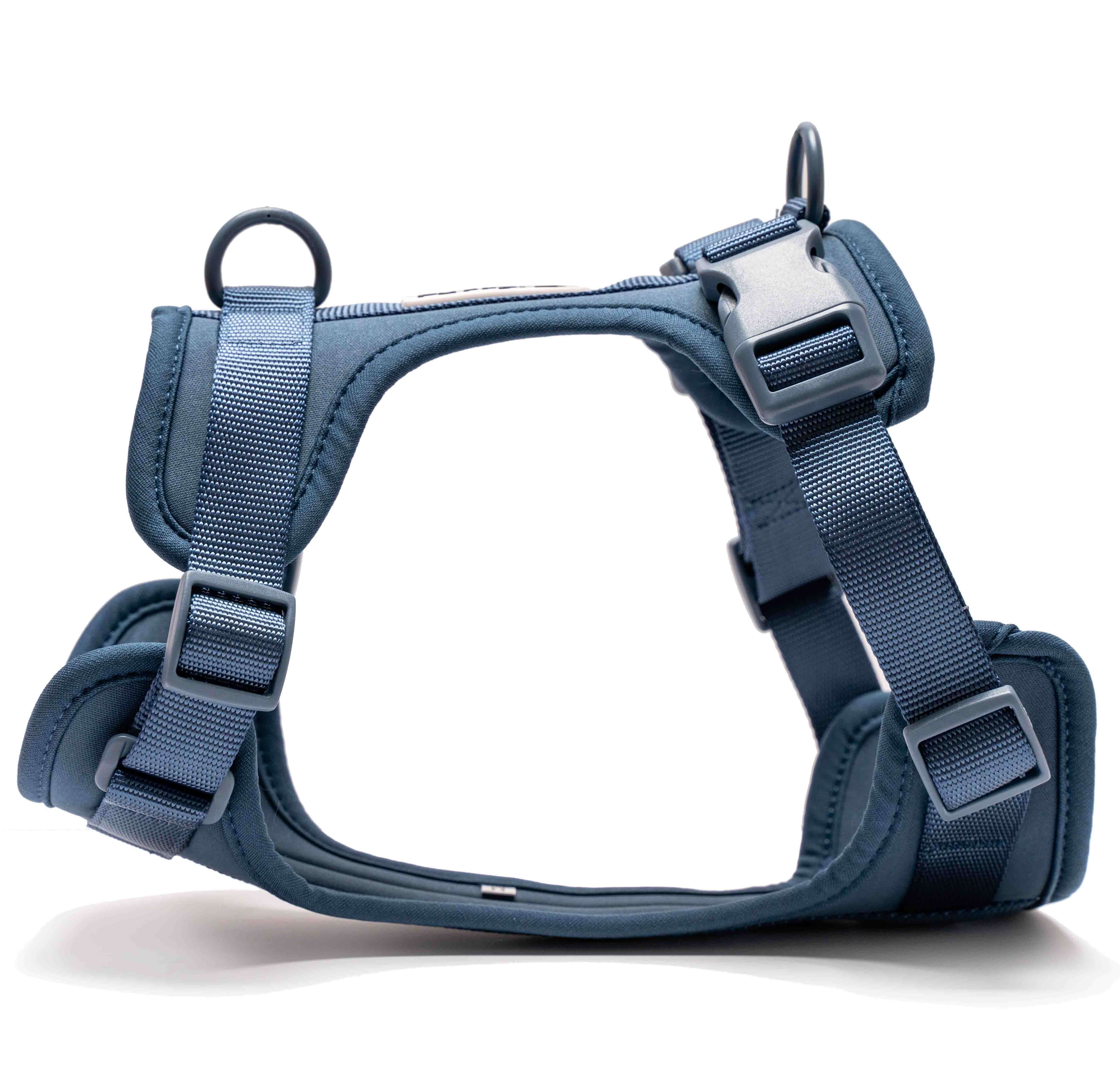 Indigo Harness